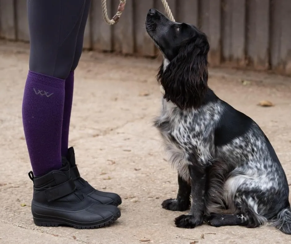 Woof Wear Short Yard Boot